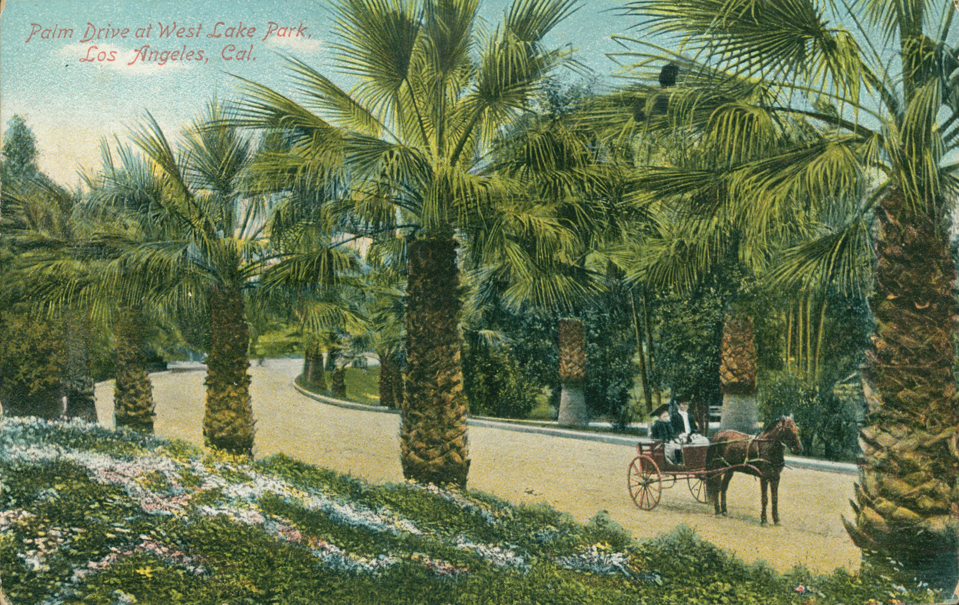 This postcard shows a woman and a child in a horse-drawn cart, driving down a palm-lined street.